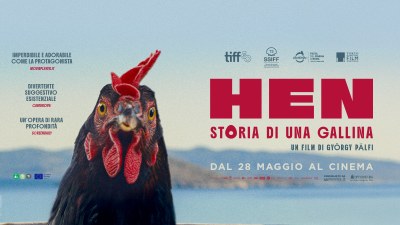 Hen - Storia di una gallina