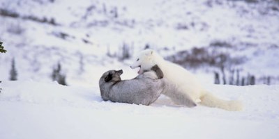 KINA E YUK ALLA SCOPERTA DEL MONDO