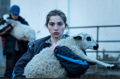 As bestas - La terra della discordia