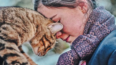 VITA DA GATTO